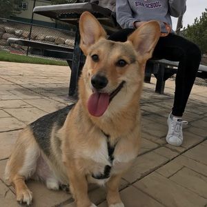 Meet your Posher, Brielle